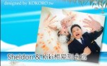 使用此样板编辑MV